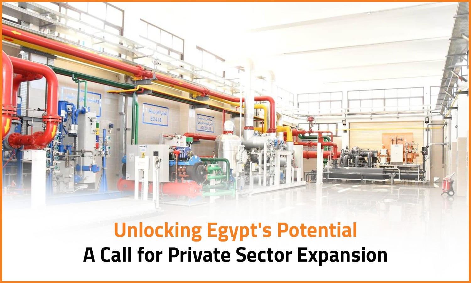 Unlocking Egypt's Potential: A Call for Private Sector Expansion

